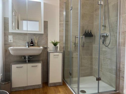 een badkamer met een glazen douche en een wastafel bij DLC: exklusive Suite im Zentrum in Bad Pyrmont