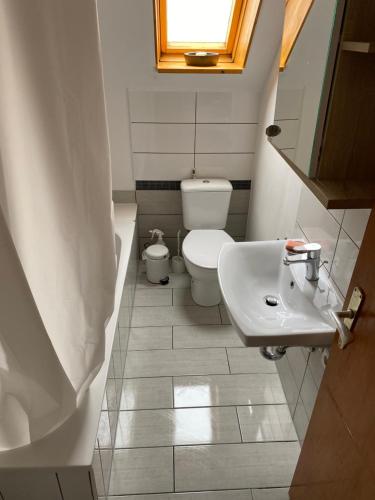a small bathroom with a toilet and a sink at B1 Ith Apartment in Coppenbrügge