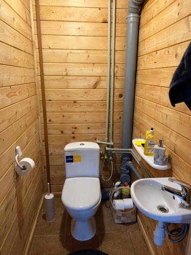 Ванна кімната в Vītolu nams - atpūta ar saunu un makšķerēšanu