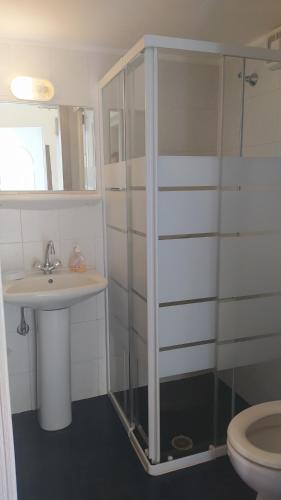 a bathroom with a shower and a sink and a toilet at Armenistis apartment in Armenistis