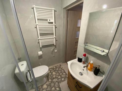 a bathroom with a sink and a toilet and a mirror at Leśne Zacisze domki letniskowe in Lipnica