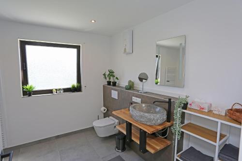 a bathroom with a sink and a toilet and a window at Rhein Domizil mit Rheinblick in Urmitz