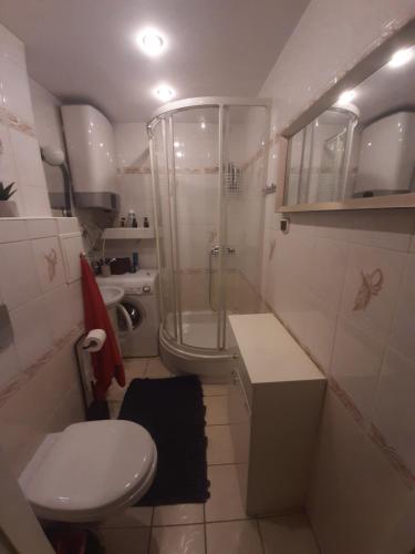 a bathroom with a shower and a toilet and a sink at Mieszkanie Żywiec in Żywiec