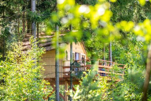 a cabin in the woods with a porch at Treehouse U lesa in Osečná