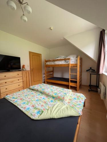 sypialnia z łóżkiem i łóżkiem piętrowym w obiekcie Apartmán Horní Mísečky F11 - Horský svět w mieście Horni Misecky