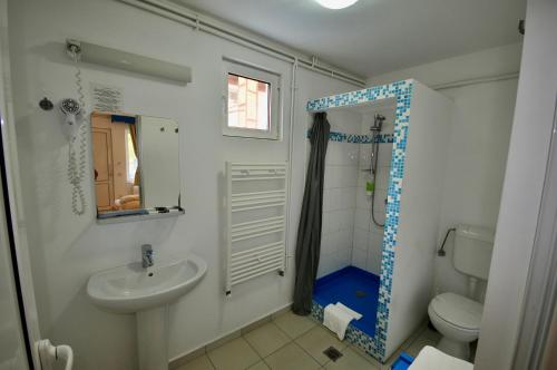 a bathroom with a sink and a toilet and a shower at Pension Sharaiman in Dunavăţu de Jos