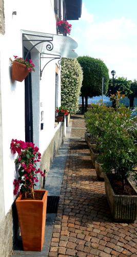 Un jardín fuera de In Piazzetta - Cernobbio