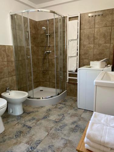 a bathroom with a shower and a toilet and a sink at Winnica Bracia Petrasz 