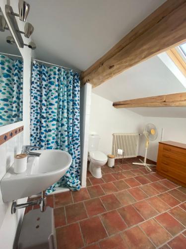 a bathroom with a sink and a toilet at Les Volets Bleus in Malaucène