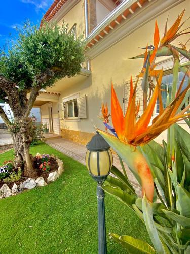 a street light in front of a house with a flower at Casa das Laranjeiras in Alqueidão da Serra