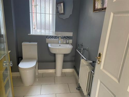 a bathroom with a toilet and a sink at La Mignonne Aketoise in Peterborough