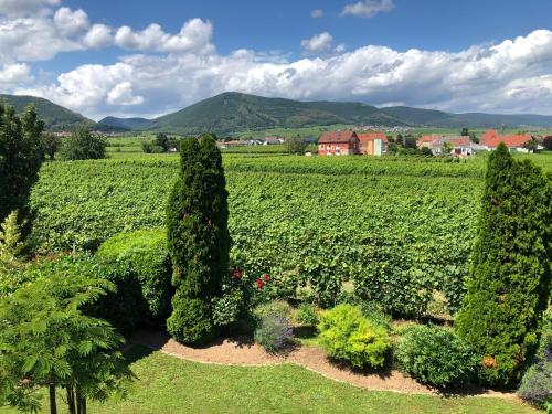 a garden with trees in the middle of a field at Ferienwohnung Südpfalz mit Fernblick in Böchingen