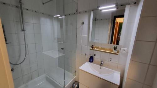 La salle de bains blanche est pourvue d'une douche et d'un lavabo. dans l'établissement Ferienwohnung Auenglück Hahnenklee Harz, à Hahnenklee