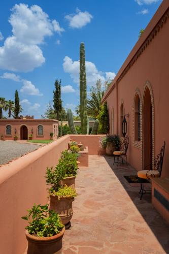 une passerelle menant à un bâtiment avec des plantes en pot dans l'établissement Dar Moulouya, à Marrakech