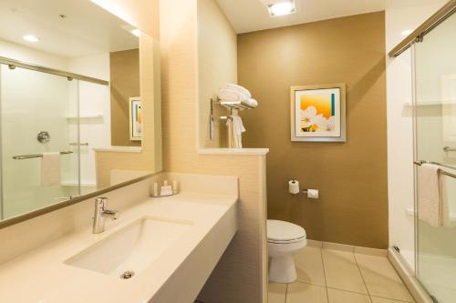 a bathroom with a sink and a toilet at Fairfield Inn & Suites by Marriott Detroit Chesterfield in Chesterfield