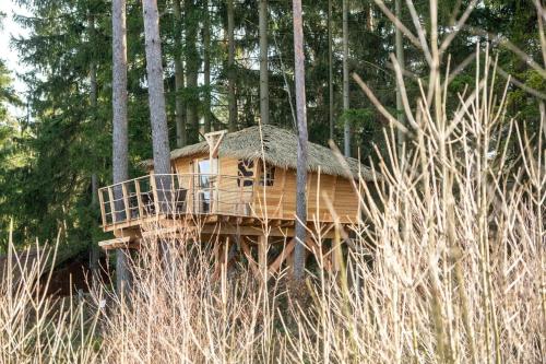 Treehouse U rybníka