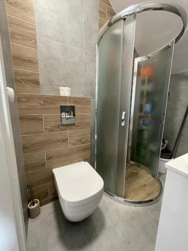a small bathroom with a toilet and a shower at Apartament letni Almar in Pogórze