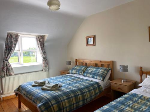 a bedroom with two beds and a window at Coningbeg Cottage in Kilmore Quay