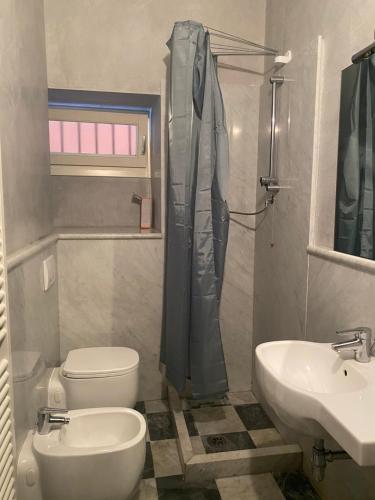ein Bad mit einem WC, einem Waschbecken und einer Dusche in der Unterkunft Lo Studio in Pisa