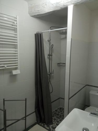 une salle de bain avec une douche, des toilettes et un lavabo dans l'établissement Studio tout confort en Provence Mont Ventoux., à Bédoin