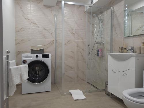 ein Bad mit einer Waschmaschine und einer Dusche in der Unterkunft Pandora Central Apartment in Cluj-Napoca