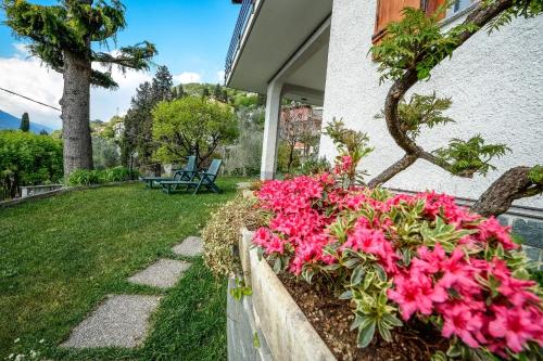 a retaining wall with pink flowers in a yard at Villa Bianca in Varenna