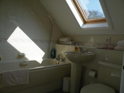 a bathroom with a sink toilet and a window at Broadlands Gate in Brockenhurst