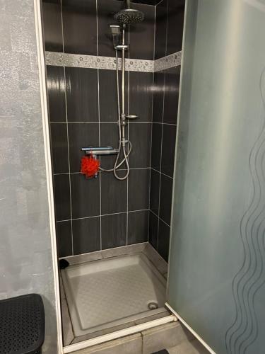 a shower in a bathroom with a shower stall at Marwan in Sargé Les Le Mans 