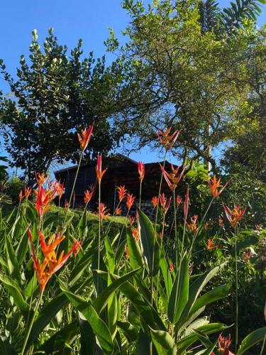 Villa Mimi Mountain Cabin – Photos 3