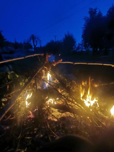 Gambar di galeri bagi Zielony Zakątek Ciężkowice di Ciężkowice