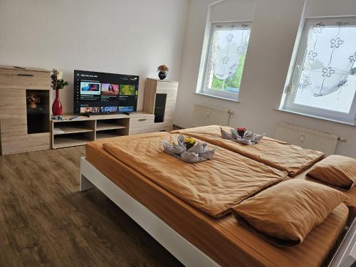 een slaapkamer met een groot bed en een flatscreen-tv bij Käthe-Kollwitz-Straße 54, F2 in Altenburg
