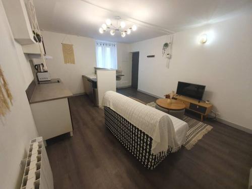 un salon avec un canapé et une table dans l'établissement Cocon Cosy, à Clermont-Ferrand