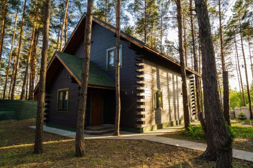 a log cabin in the woods with trees at Dacha 9 in Voropayev