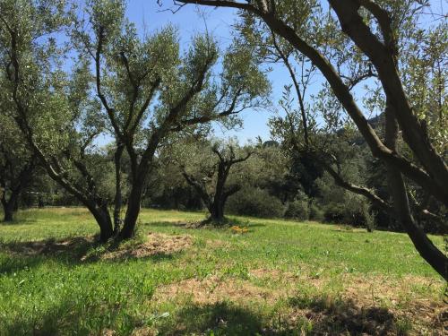 Φυσικό τοπίο κοντά σε αυτό το διαμέρισμα