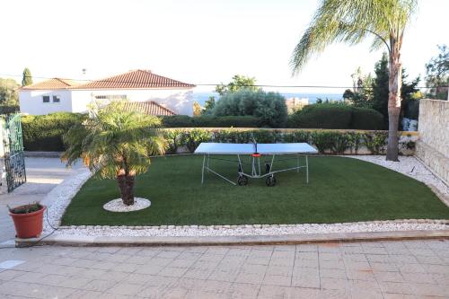 eine Tischtennisplatte auf einem Rasen mit Palmen in der Unterkunft Luxury Villa with ocean view in Luz