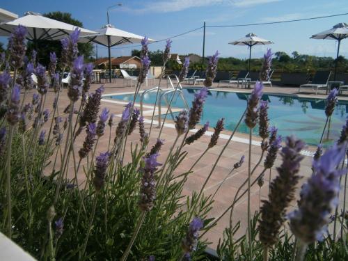 a pool with purple flowers and umbrellas at Harma Corfu in Sidari
