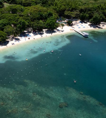an aerial view of a beach with people in the water at Grand Palladium Jamaica Resort & Spa All Inclusive in Lucea