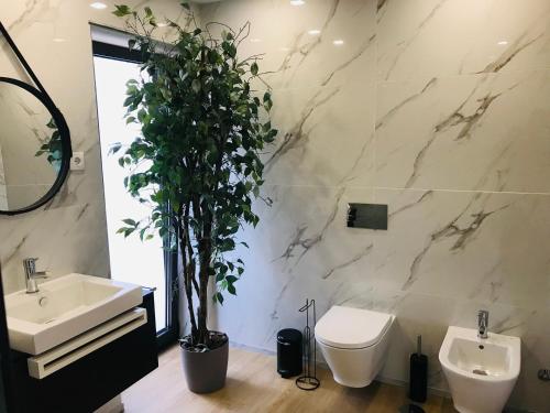 Central Guest Houseにあるバスルーム