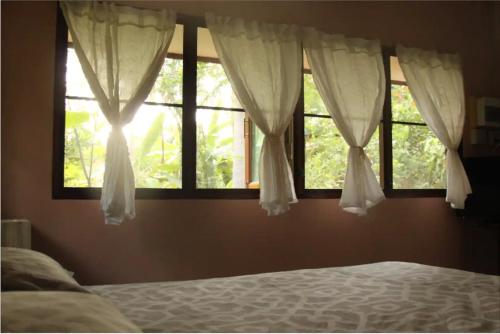 um quarto com 2 janelas com cortinas brancas e uma cama em Cocohut Garden 