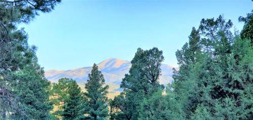 a group of trees with mountains in the background at High Sierra Condominiums in Ruidoso
