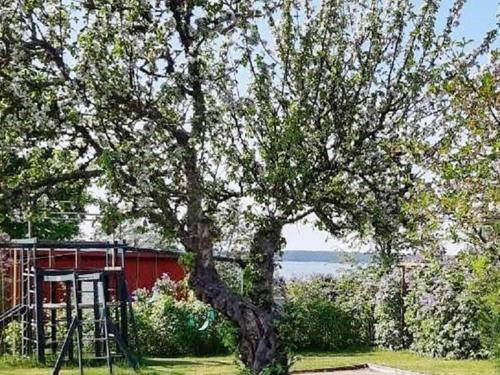 a tree in front of a red house with a tree at 4 person holiday home in MARIESTAD-By Traum in Mariestad