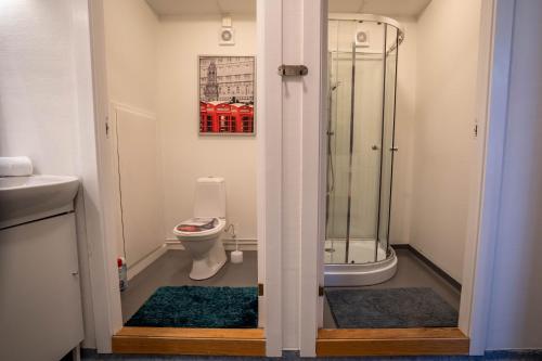 a bathroom with a shower and a toilet at In Heart of Stavanger BnB with Billiard & Sauna in Stavanger