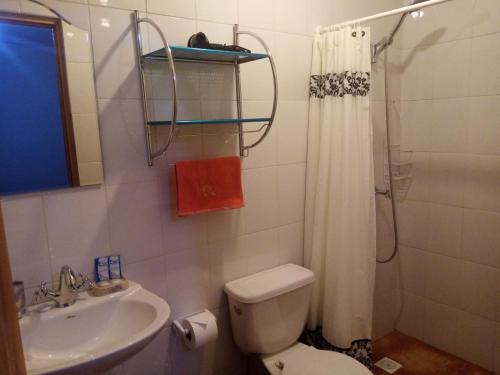 a bathroom with a toilet and a sink and a shower at hostal casa talitha in San Pedro de Atacama