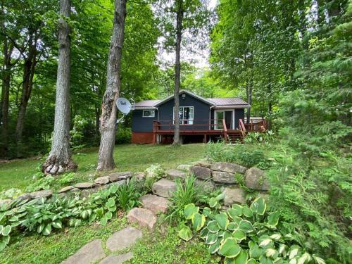 una casa blu in mezzo a una foresta di Dawson Loop Inn 3BR Lakefront Chalet Style Cottage a Maynooth