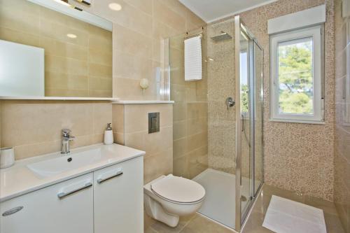 a bathroom with a toilet sink and a shower at Villa Blazen in Bogomolje