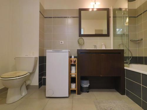 une salle de bain avec toilettes, lavabo et miroir dans l'établissement Charmant 2 pièces avec piscine à Sète, proche plage et commerces - FR-1-472-192, à Sète