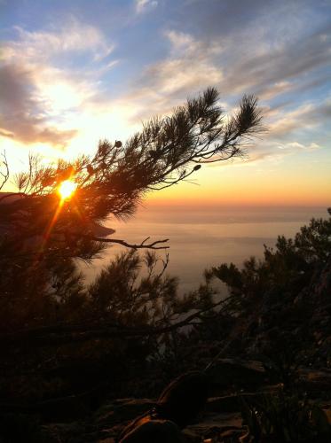 a sunset on the top of a mountain with a tree at Tarra in Agia Roumeli