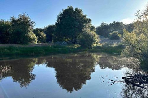 a river with a reflection of trees in the water at Julian Orchard Ranch in Santa Ysabel