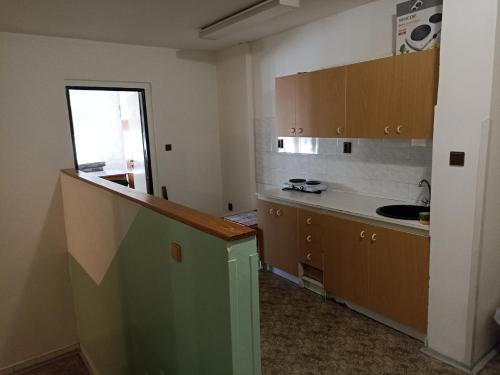 a kitchen with a sink and a counter in a room at Penzion Athéna - sportovní areál in Nová Včelnice