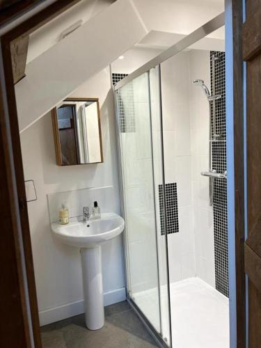 a bathroom with a sink and a shower at The Old Stable Block - Flat 2 in Wadebridge